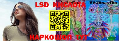 ГАЛЛЮЦИНОГЕННЫЕ ГРИБЫ Кимры