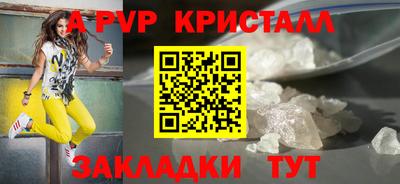 СК Кингисепп