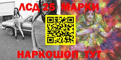 СК Кингисепп
