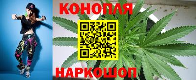 СК Кингисепп