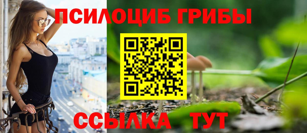 Галлюциногенные грибы GOLDEN TEACHER Королёв