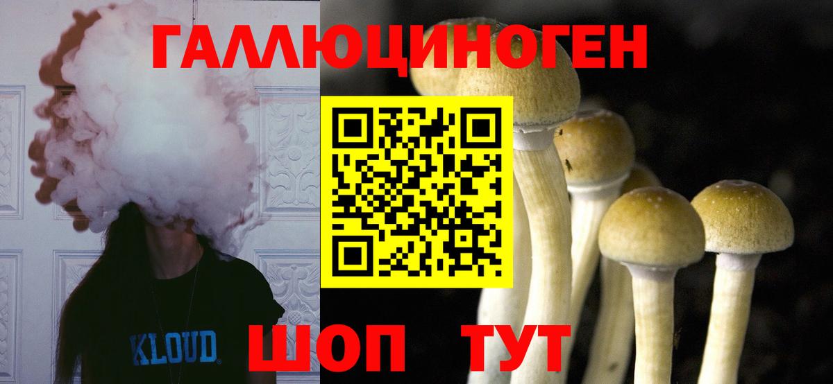 Галлюциногенные грибы MAGIC MUSHROOMS  Галлюциногенные грибы ЛСД  Королёв  Вход с VPN 
