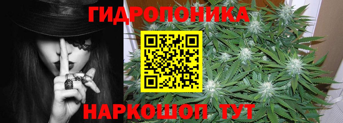 Королёв  МАРИХУАНА гибрид  Бошки марихуана сатива  Вход с VPN 
